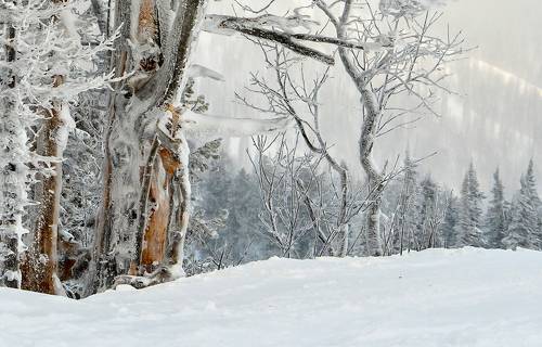 Жизнь после смерти...