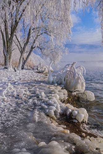 Зимние сказки !