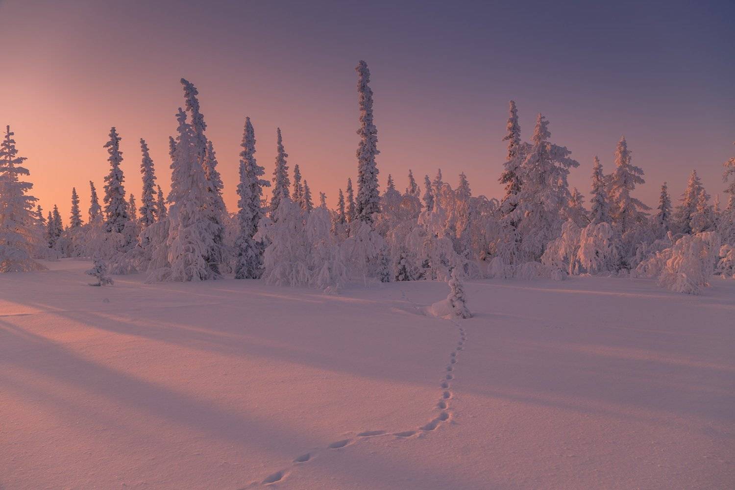 , Евгений Кужилев