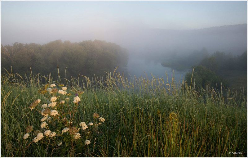 утро,думан,река,первые,лучи,загорается,новый,день Загорается новый день фото превью
