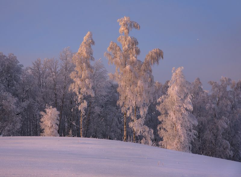 Estonia, winter, winterlandscape, landscape, snow, snowy, frost, nature Everything remains as it never was фото превью