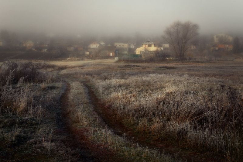 туман, утро, мороз, иней *** фото превью