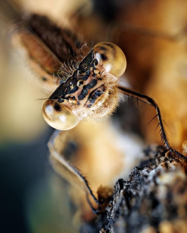 You talking me? фото превью