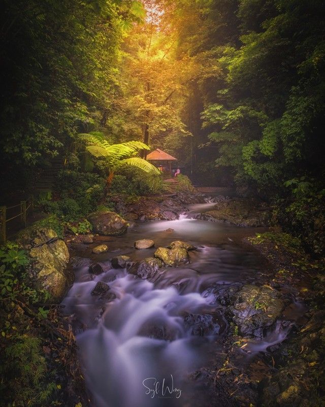 Hidden Jewel in Bali фото превью