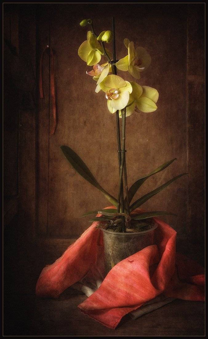 , Александр Хромеев