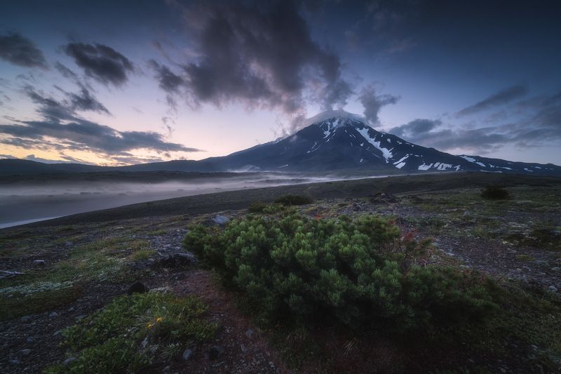 россия, камчатка, камчатский край, дальний восток, озеро, природа, пейзаж, лето, горы, долина, цветы, закат, корякская сопка, вулкан, токхолок Надвигается ночь фото превью