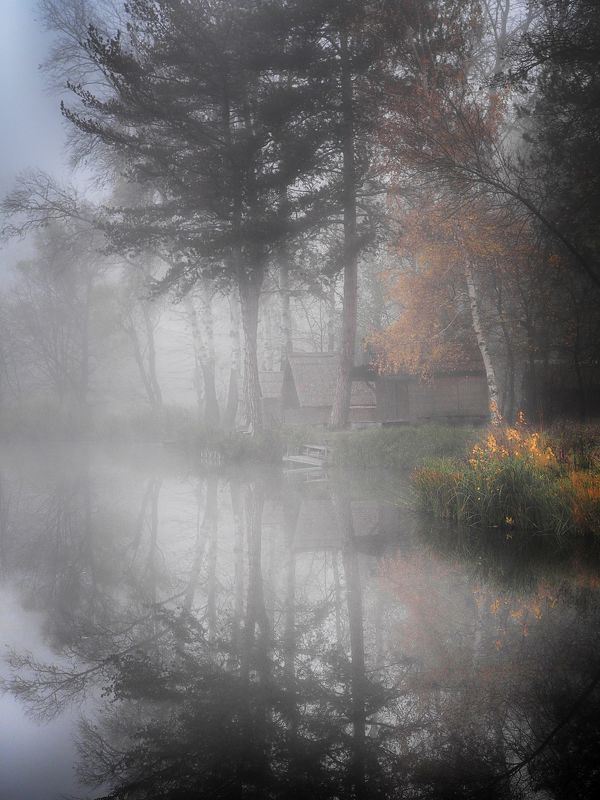 Foggy lakeland фото превью
