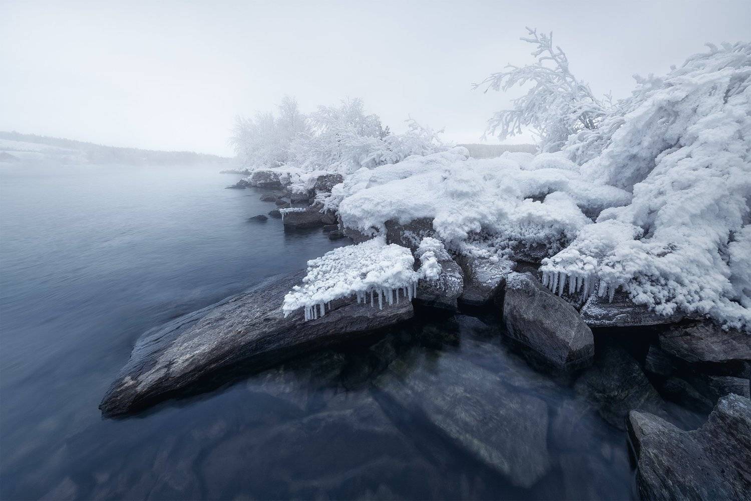 , Анна Политова