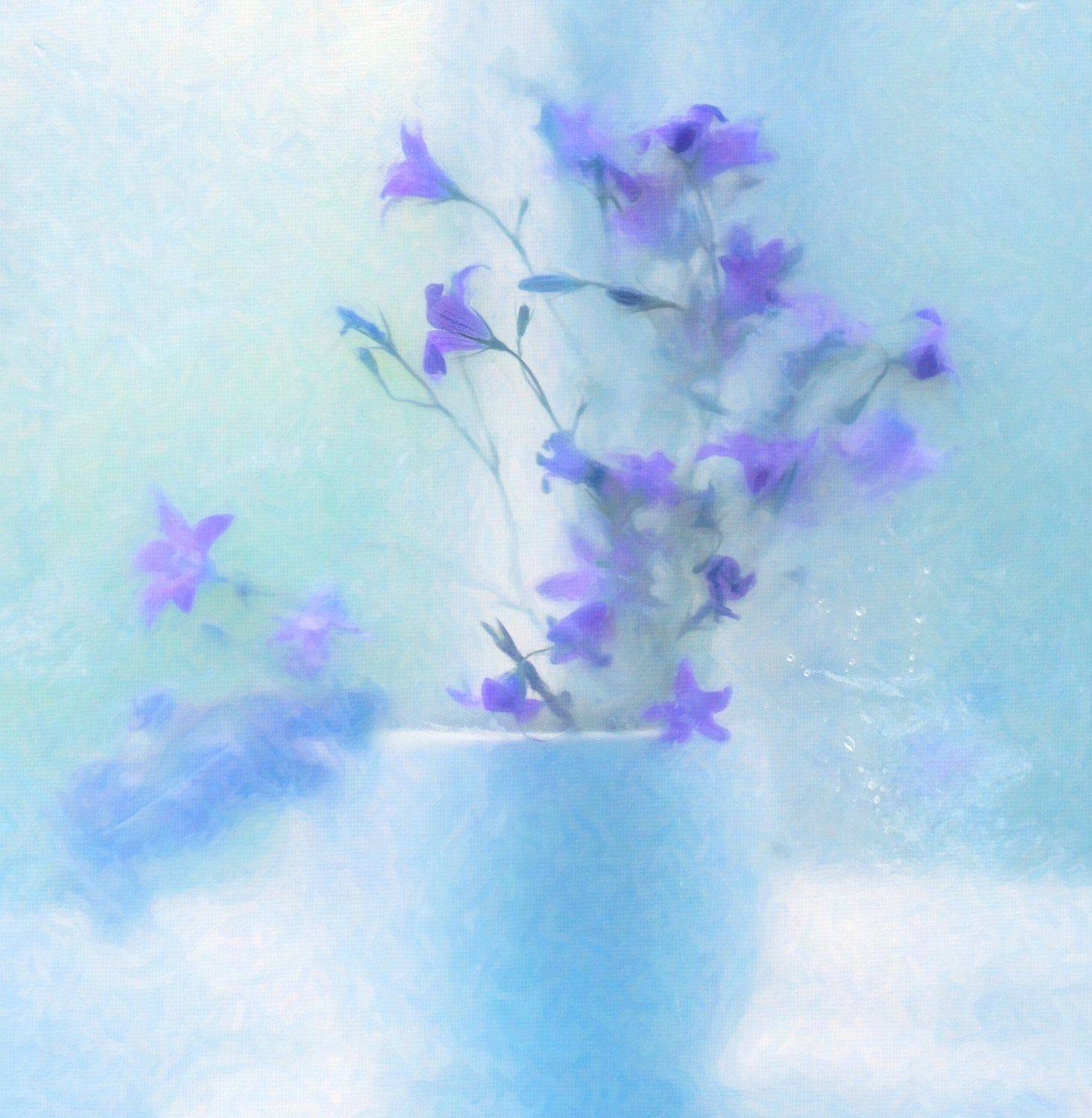 , Светлана Сушкевич