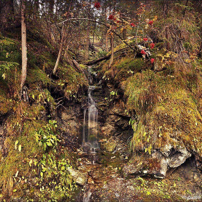 swiss, Матвеев Николай