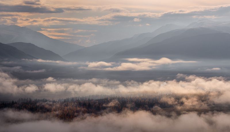 Утро в тумане фото превью