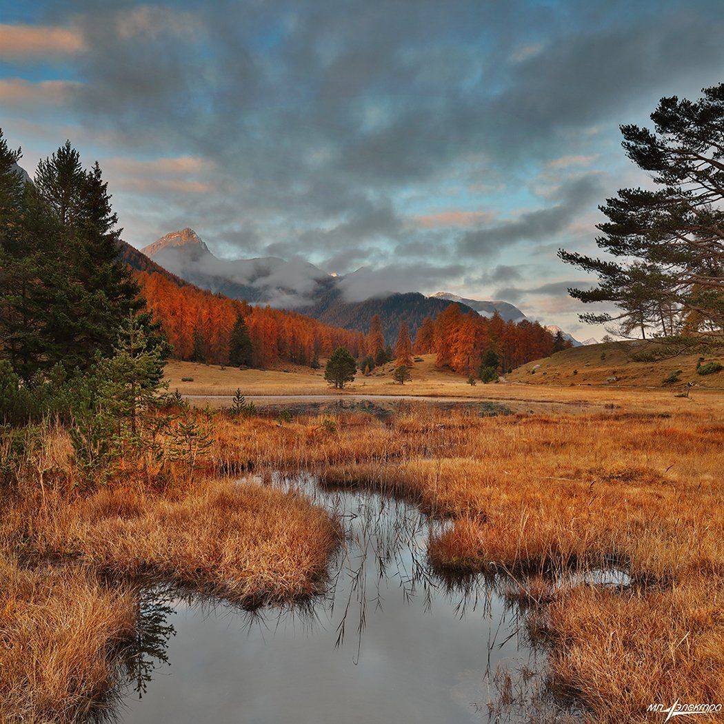 swiss, Матвеев Николай