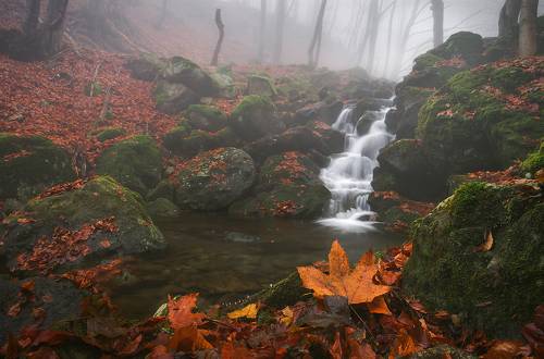 Late fall / Поздняя осень