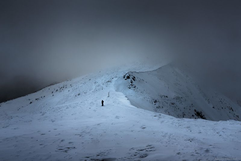 карпати, чорногора, говерла На склонах Говерлы фото превью