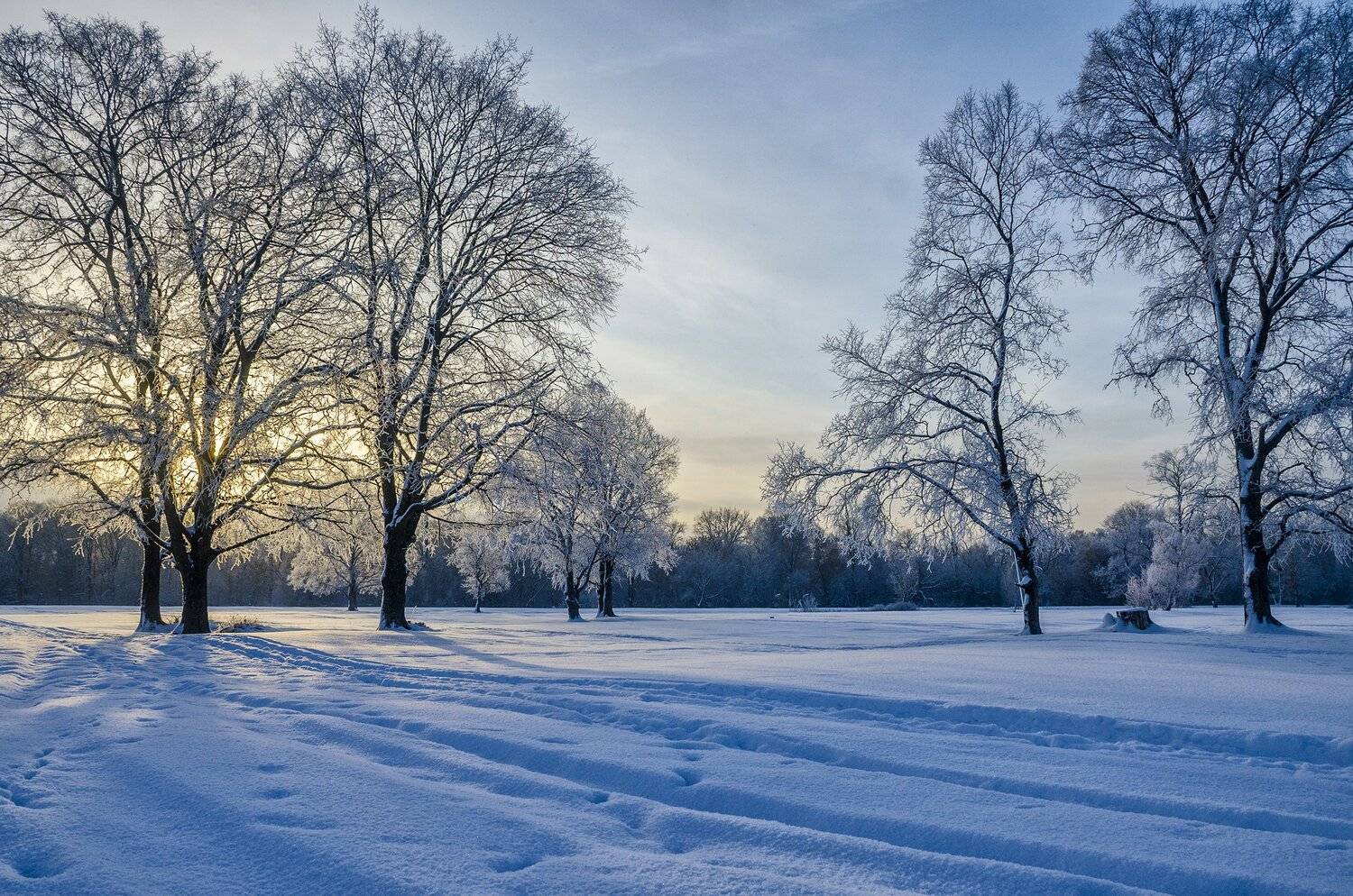 nevant60, пейзаж, красота, природа, Александр Березуцкий