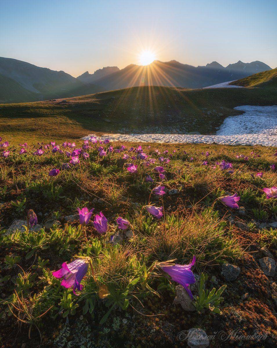 западный кавказ, загеданский хребет, колокольчики, рассвет, Николай Мысливцев