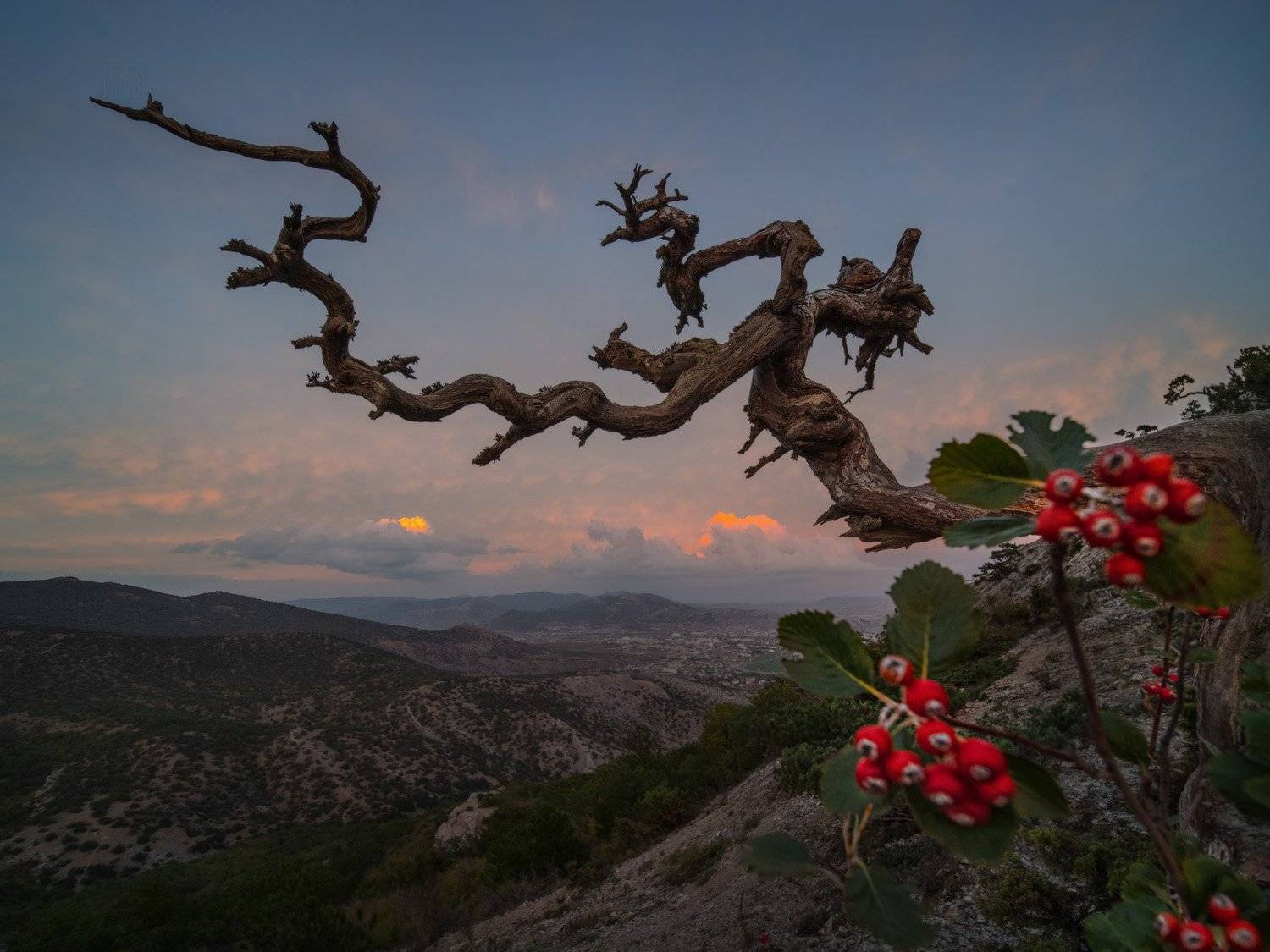 крым, новый свет, осень, закат, crimea, autumn, dusk, Виктор Иванов