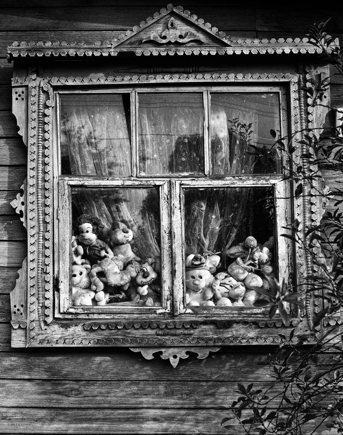 , Лариса Лофицкая