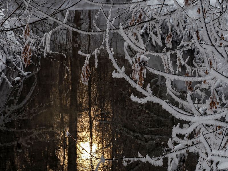 река, солнце, зима, иней, пар  фото превью