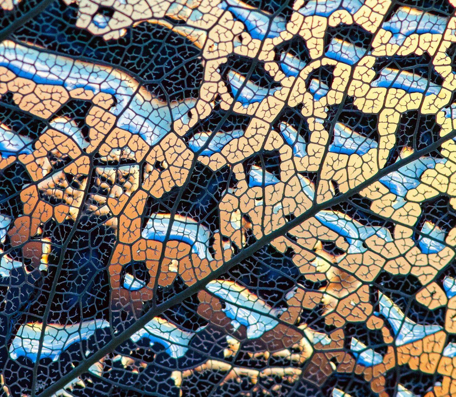 , Таня  Маркова