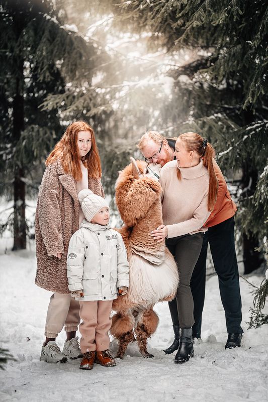 Портфолио фото превью