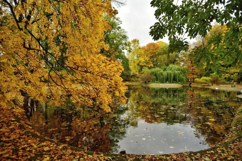 Осень фото превью
