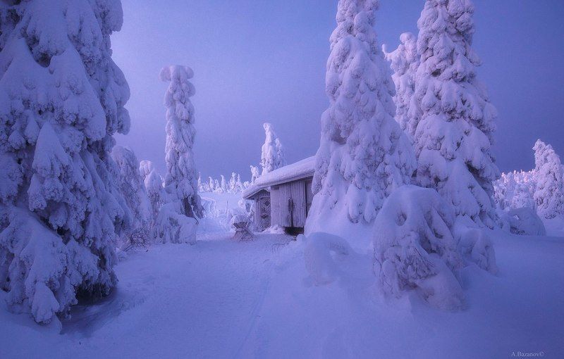 Зефирная страна фото превью