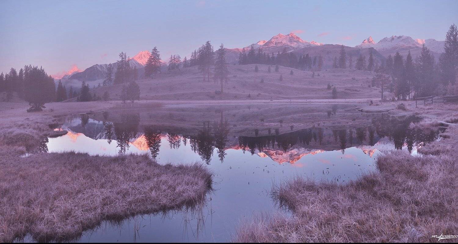 swiss, Матвеев Николай