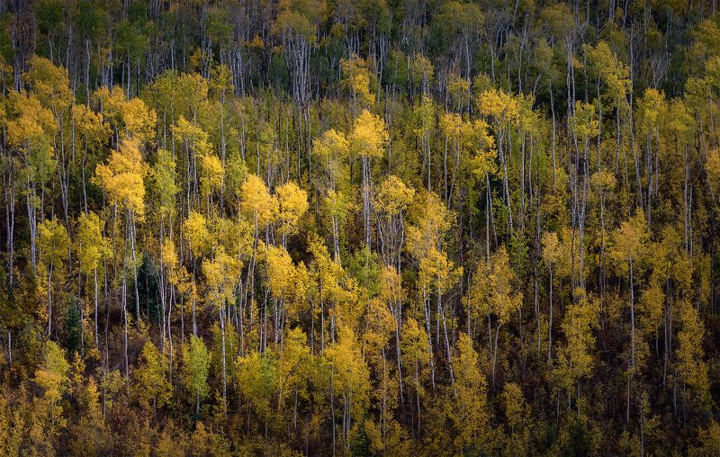 Осень в Колорадо фото превью