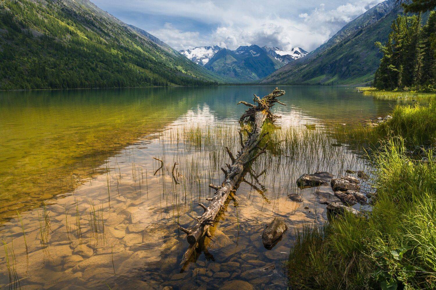россия, горный алтай, озеро среднее мультинское, июль, Андрей Поляков