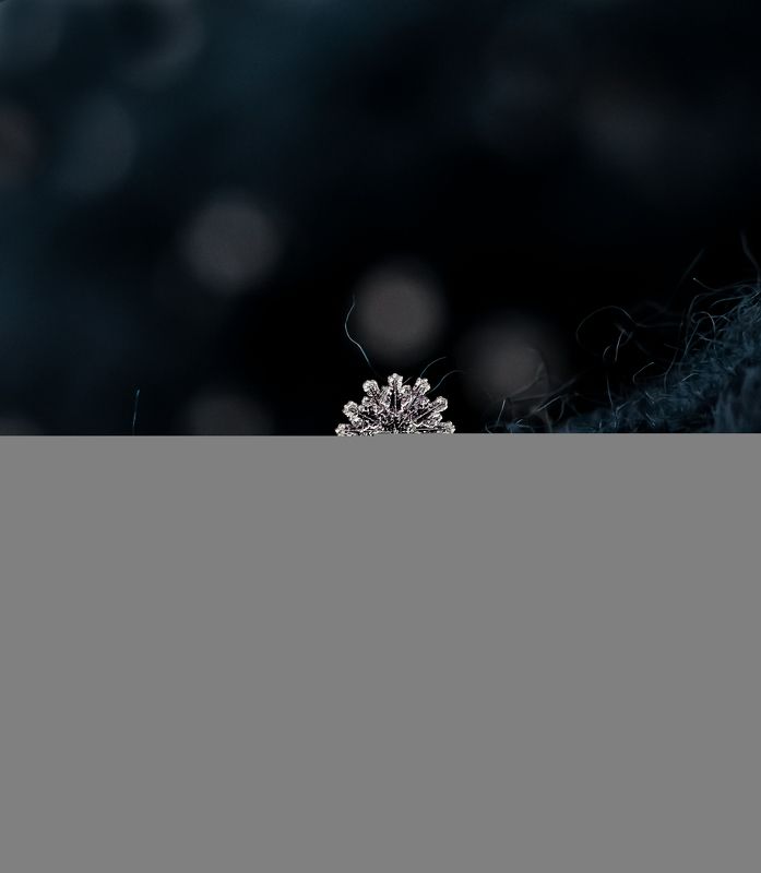 макро, природа, nature, macro, снег, зима, snowflake Редкая снежинка с 12-ю лучиками ❄️ фото превью