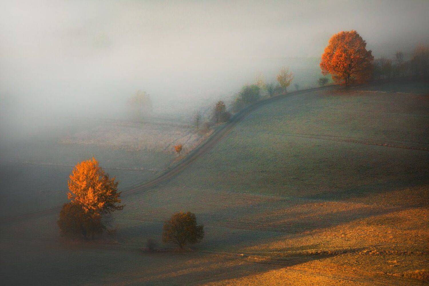 landscape,autumn,canon,mountains, Iza i Darek Mitręga