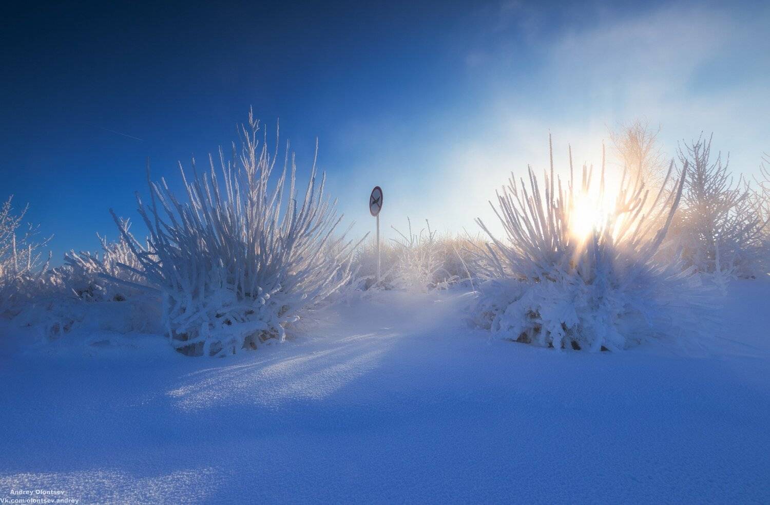 солнце, россия, рассвет, природа, подмосковье, погода, пейзажи, пейзаж, отражение, наукоград, красота, дубна, вода, весна, weather, water, spring, russia, reflection, naukograd, nature, moscow, landscape, dawn, canon, dubna, beauty, Андрей Олонцев