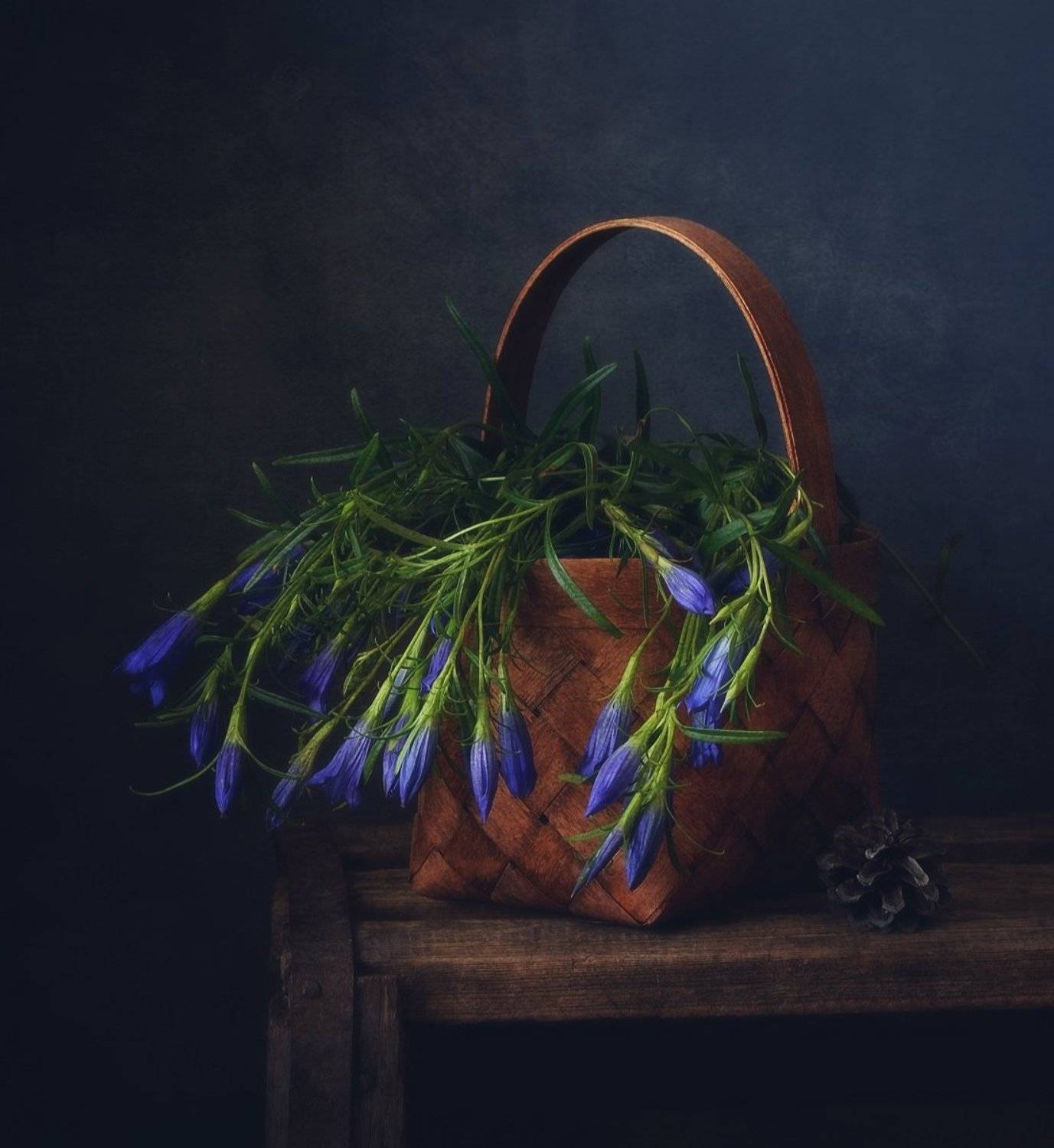 натюрморт,лето,цветы,горечавка, Наталия К