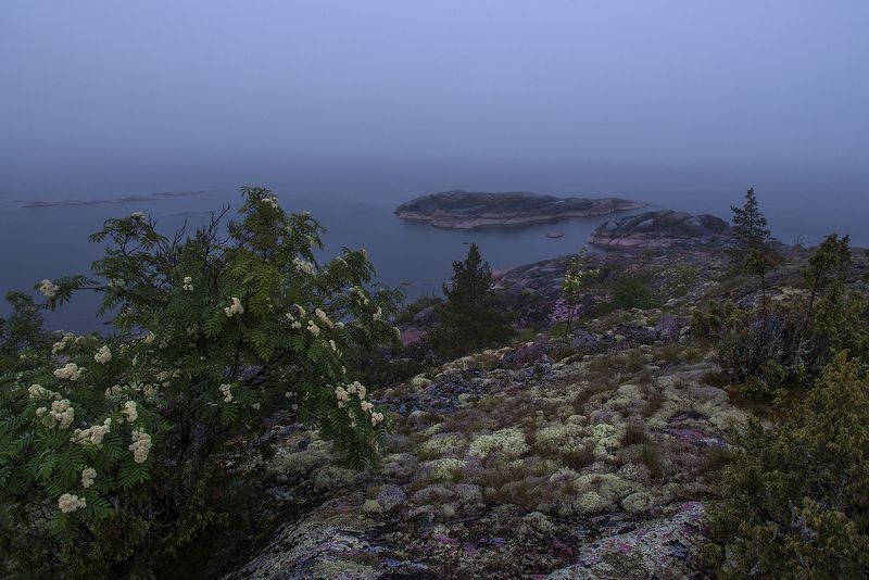 карелия Сюскюянсаари фото превью