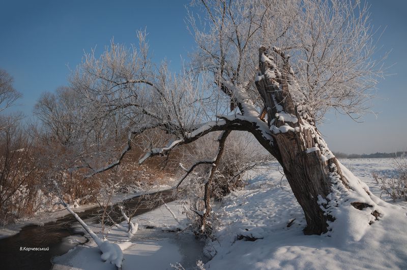 мороз и солнце... фото превью
