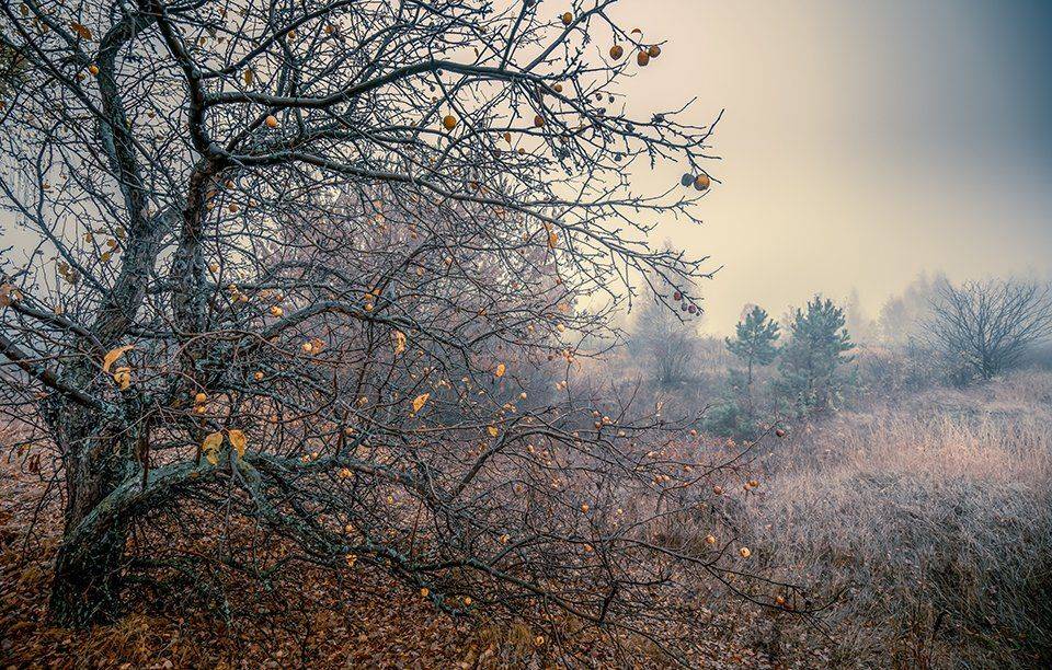 , Игорь Кляхин