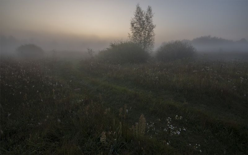 pre-dawn... фото превью