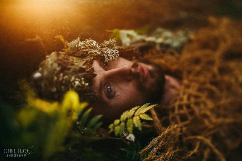 tree фото превью