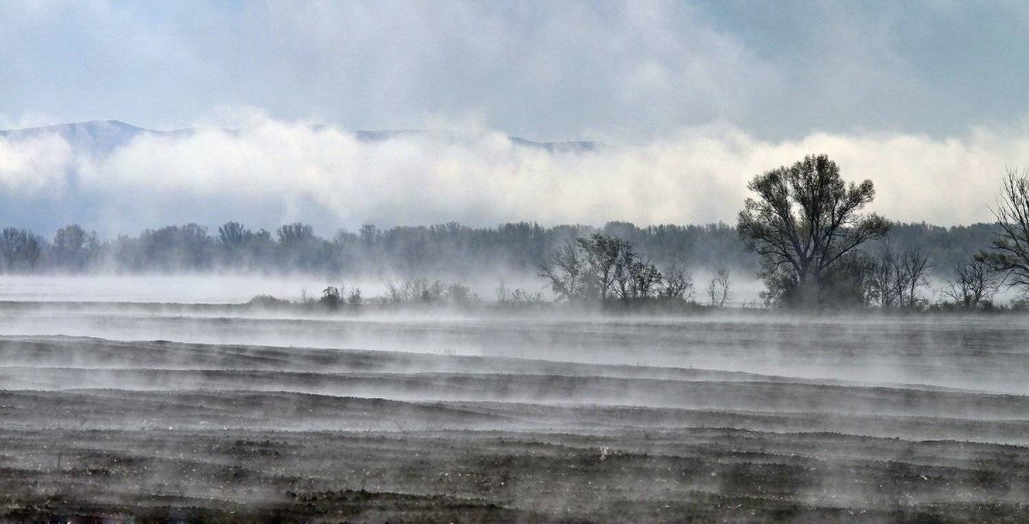 , Васенин Валерий