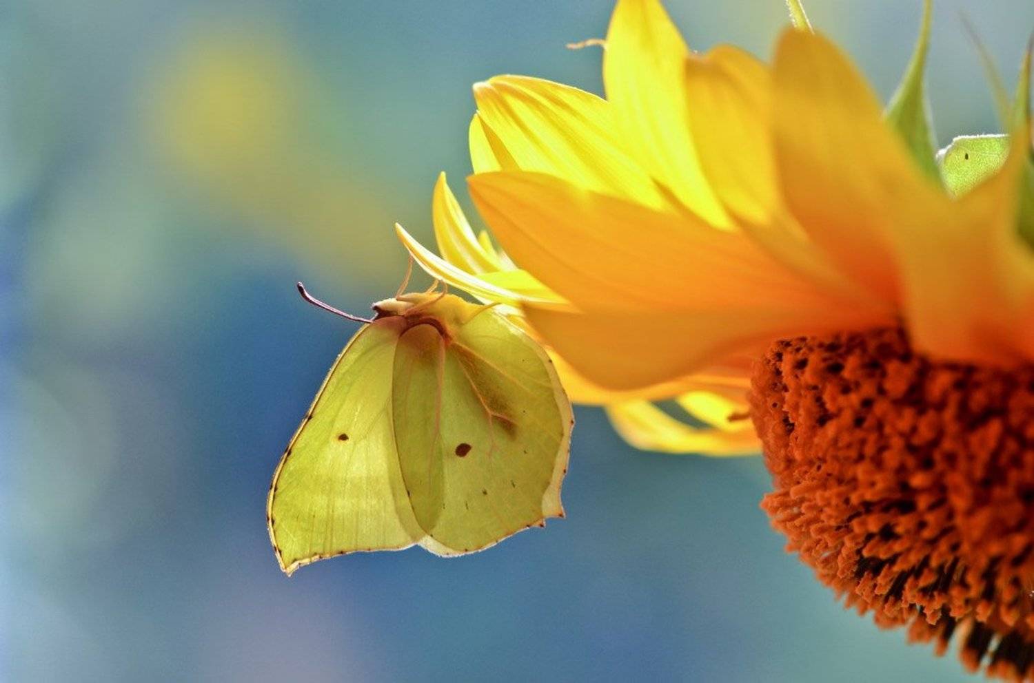 , Вячеслав Мищенко