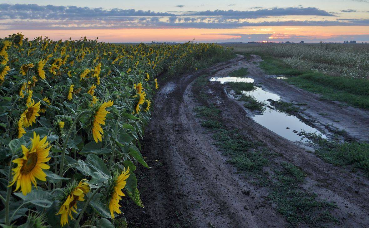 , Володимир Карчевський