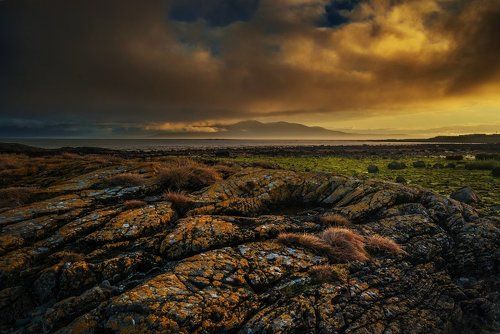 Yellow Painted Rocks