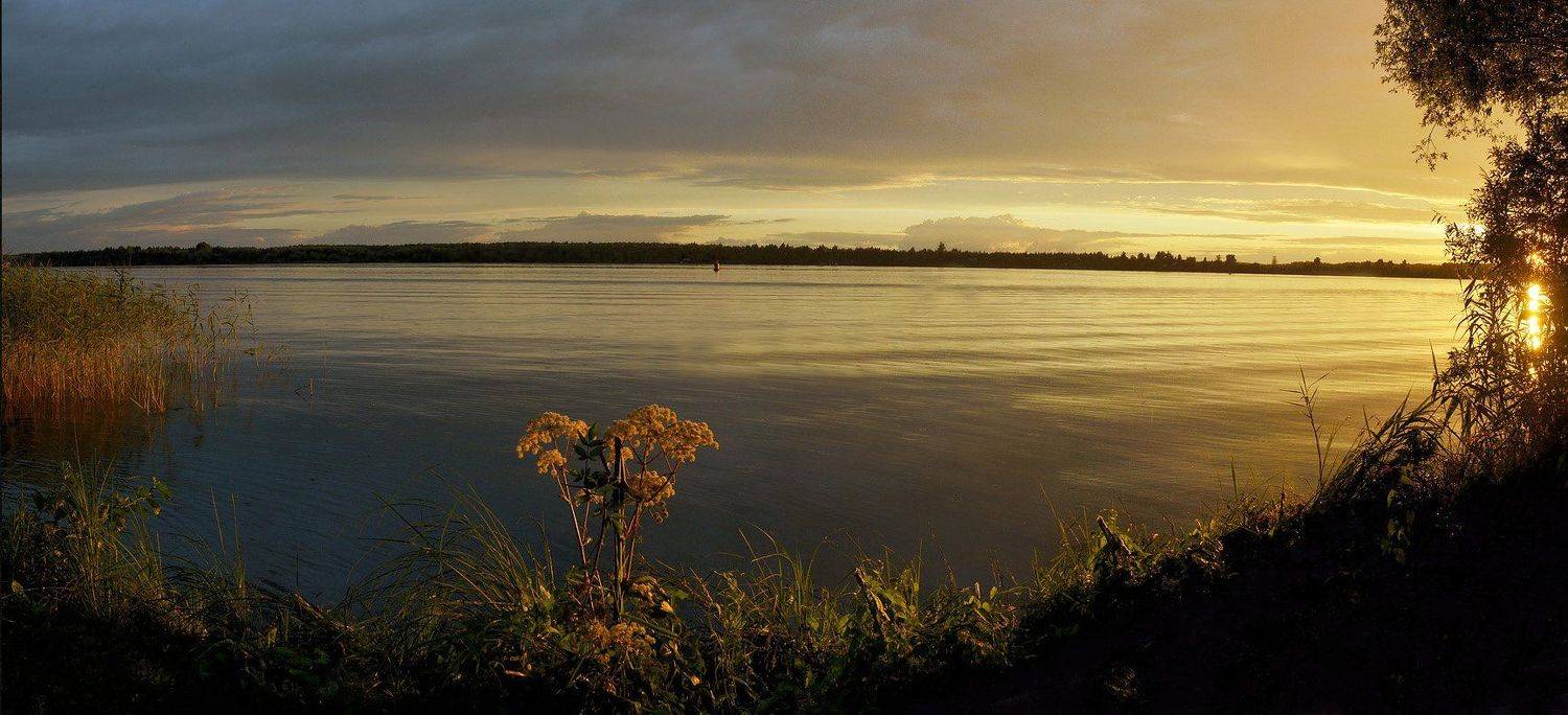 , Сергей Седов