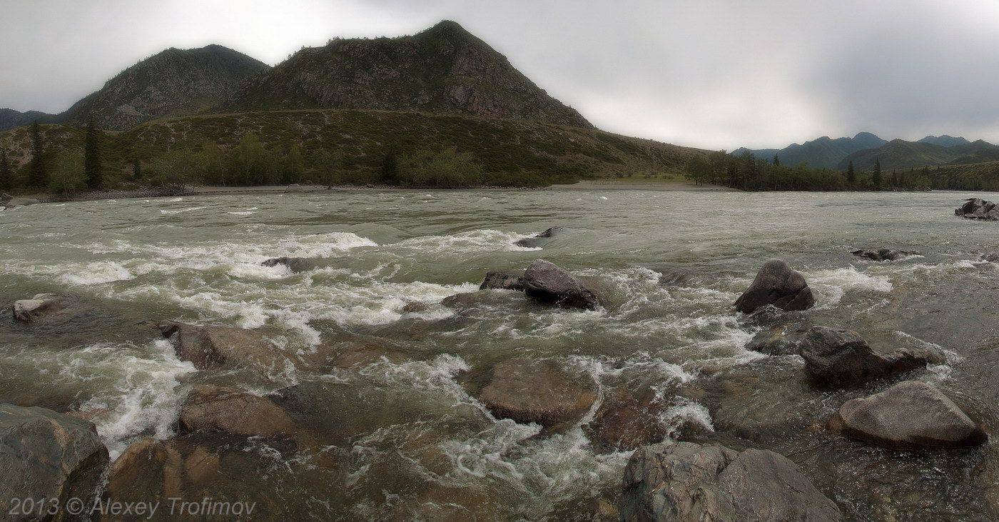 , Алексей Трофимов