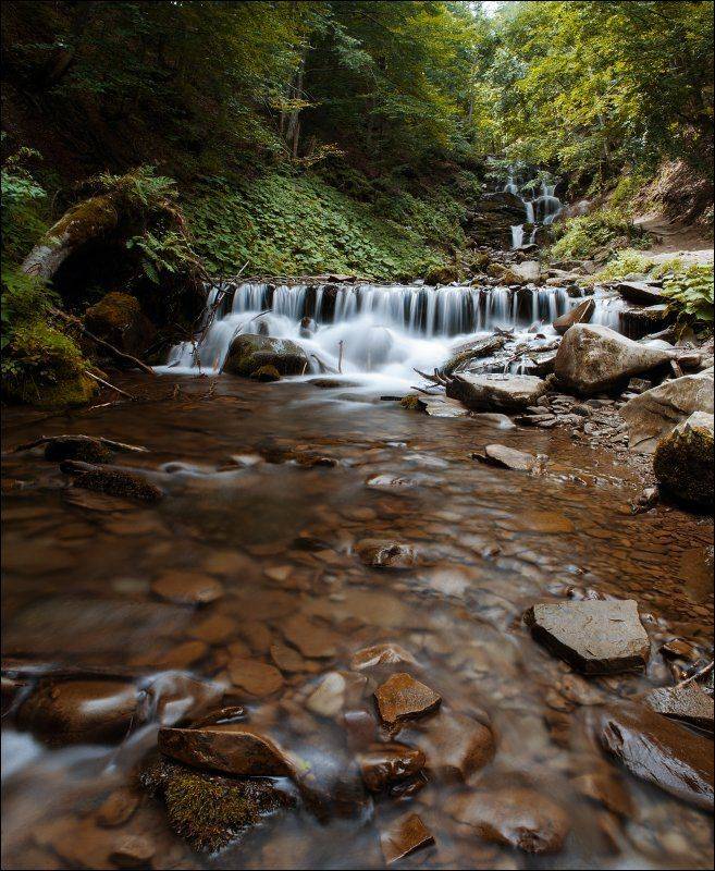 , Полищук И.В.