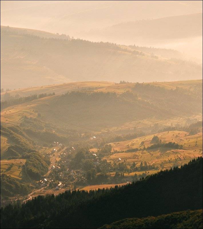 , Полищук И.В.