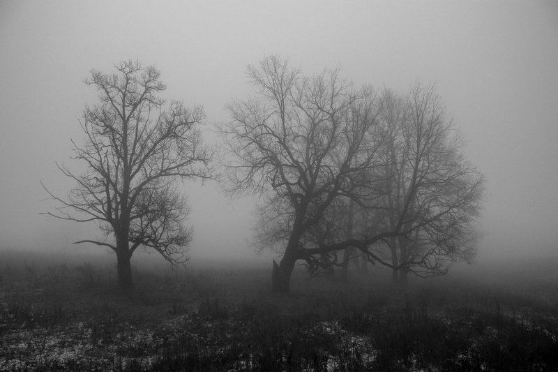 * фото превью