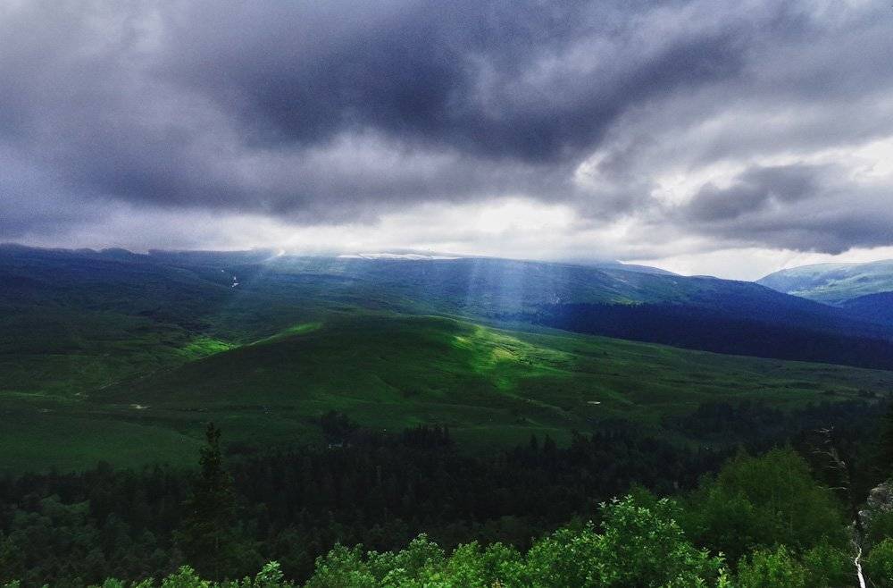 , Николай Шелепов