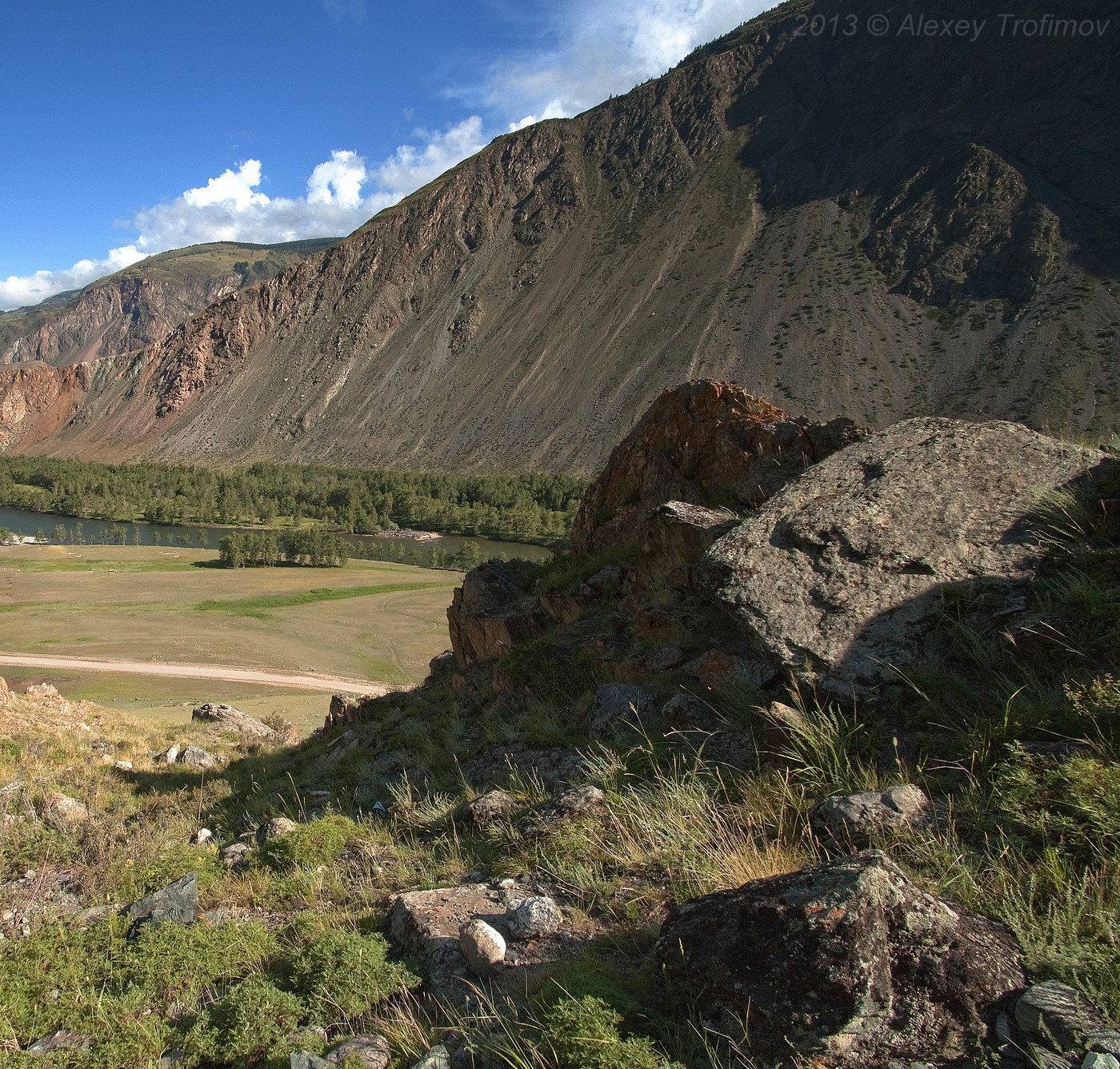 , Алексей Трофимов